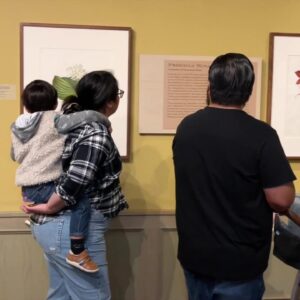 Santa Barbara Museum of Natural History highlights 8 female artists from Victorian era in ...