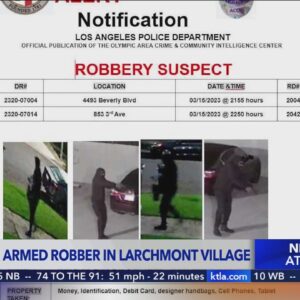 Police searching for armed-robbery suspect in Larchmont Village