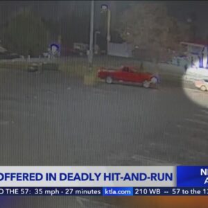 Reward offered for information in deadly South L.A. hit-and-run
