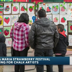 Santa Maria Strawberry Festival opens artists applications