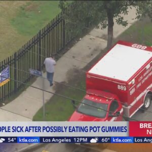 Several sickened after possibly eating pot gummies at L.A. school