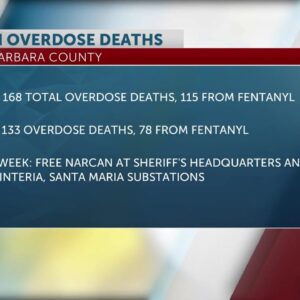 Synthetic opioid overdose deaths significantly increased in last three years