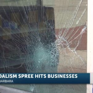 Vandalism damages businesses and runs up costs