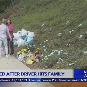 11-month-old killed after driver hits family walking on sidewalk