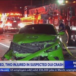 Mother killed, 2 hospitalized after alleged DUI driver sends cars flying off PCH in Pacific Palisade