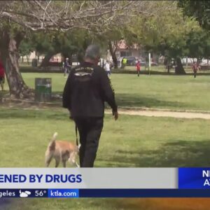 Dog sickened by drugs discarded at park in Studio City