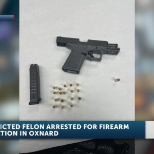 Oxnard resident charged with multiple firearms violations following vehicle search