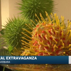 Garden Club of Santa Barbara set to present free two-day flower show