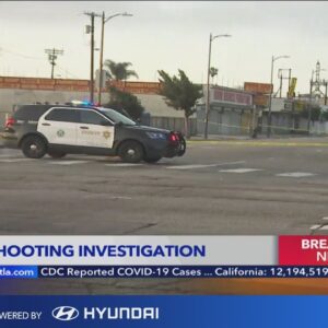Deputy fires at driver after being struck by vehicle in South Los Angeles: LASD