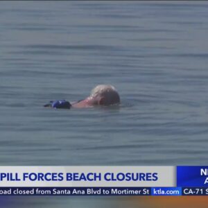Long Beach beaches closed due to massive sewage spill