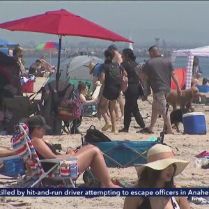 Long Beach closed due to spillage of 250,000 gallons of raw sewage