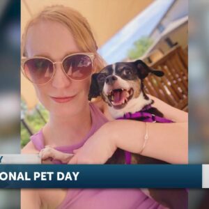 News Channel 3-12 celebrates National Pet Day