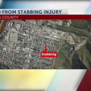 One Ventura resident is dead following early morning stabbing