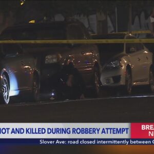 Teen fatally shot while fleeing robbery attempt in Koreatown: LAPD