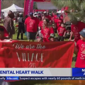 'Walk for One More Heartbeat' held in Griffith Park