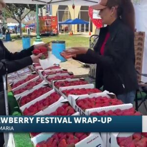 Hundreds of fairgoers attended the 34th annual Strawberry Festival in Santa Maria