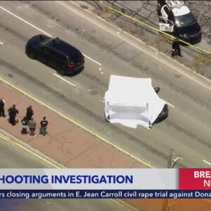 1 dead in possible road rage shooting in Venice; suspect on the run