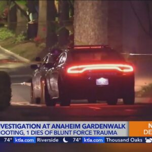 1 shot, 1 beaten in fatal melee at Anaheim GardenWalk: Police