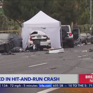 2 killed in horrific hit-and-run crash