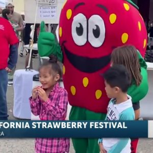 37th Annual California Strawberry Festival wraps up Sunday evening.