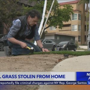 Artificial turf stolen from outside Studio City residence