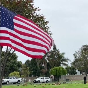 Avenue of Flags waves in Ventura