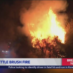 Brush fire breaks out in Eastvale