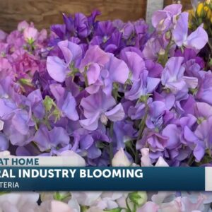 Business is blooming at Florabundance ahead of Mother's Day