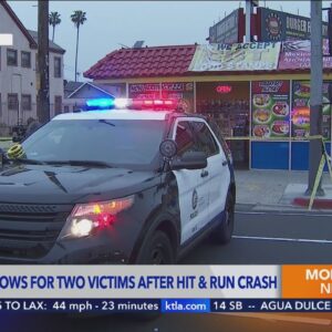 2 killed in Exposition Park hit-and-run crash; witnesses help apprehend driver