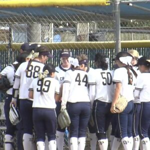 DP outslugs Oak Park to win softball playoff game