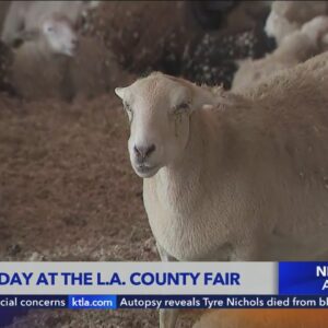 L.A. County Fair offers all kinds of family fun