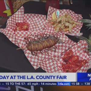 L.A. County Fair offers food and fun for the whole family