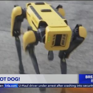 LAPD robotic dog joins force after city approval