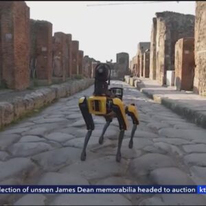 Los Angeles City Council approves ‘robot dog’ for police force