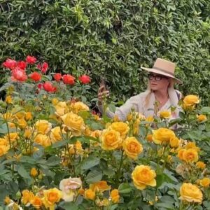 Lotusland and SB Botanic Gardens celebrate ”Go Public Gardens” Week