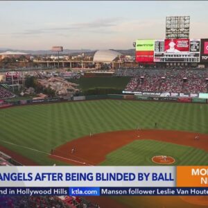 Man left blinded by ball sues Angels