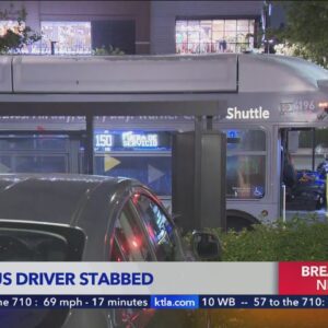 Metro bus driver stabbed; police searching for suspect
