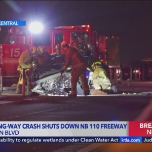 One killed in wrong-way crash on 110 Freeway