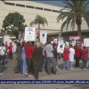 Over 11,000 WGA members vote to authorize strike