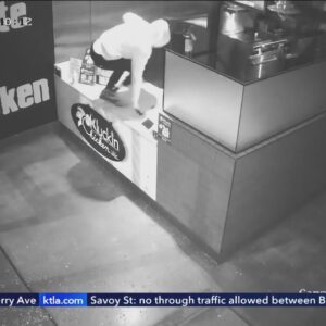 Several Santa Clarita Valley businesses burglarized