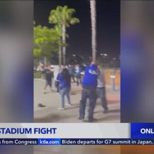 Video captured brawl at Dodger Stadium