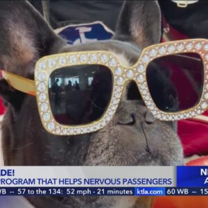 LAX celebrates 10th anniversary of Pets Unstressing Passengers program with pup parade and giveaways