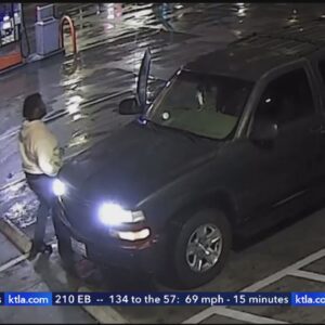 $50,000 reward offered in fatal hit-and-run that killed 68-year-old man in South L.A.