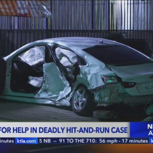 5-year-old killed, teen hospitalized in South L.A. hit-and-run crash