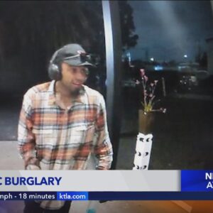 Burglar caught on camera breaking into Long Beach veterinary clinic