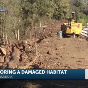 Coastal Commission orders restoration of damaged creek habitat