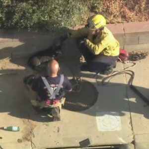 Crews rescue dog trapped in Los Angeles County sewer drain