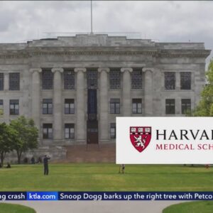 Harvard Medical School morgue manager, others charged with trafficking body parts