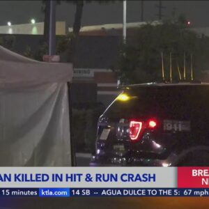 Man dies on street after being struck by hit-and-run driver in Valley Glen