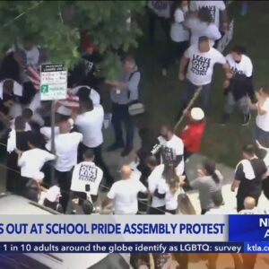 Fists fly at elementary school Pride event protest